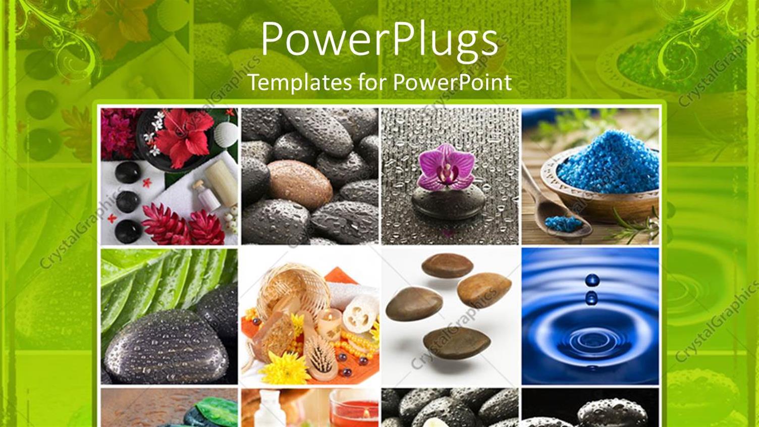 Premium Template for PowerPoint & Google Slides 