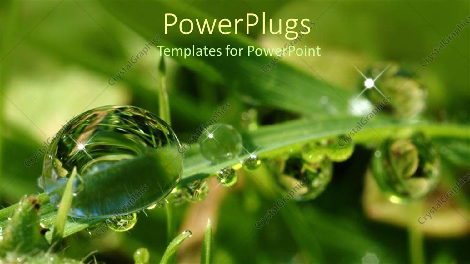 Premium Template for PowerPoint & Google Slides 