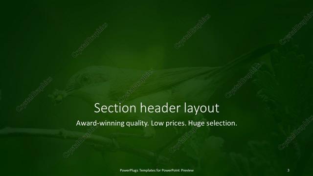 Section Header presentation slide layout