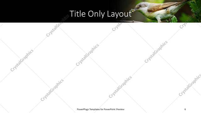 Title Only presentation slide layout