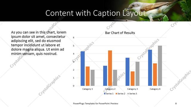 Content with Caption presentation slide layout