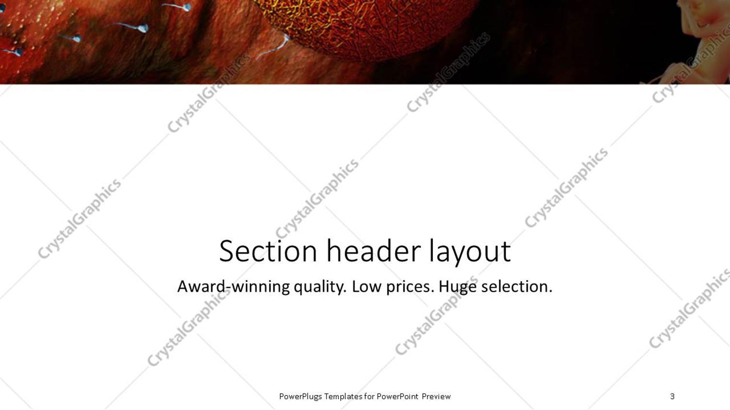 PowerPoint Template Sperm Traveling To Fertilize The Waiting Egg With 