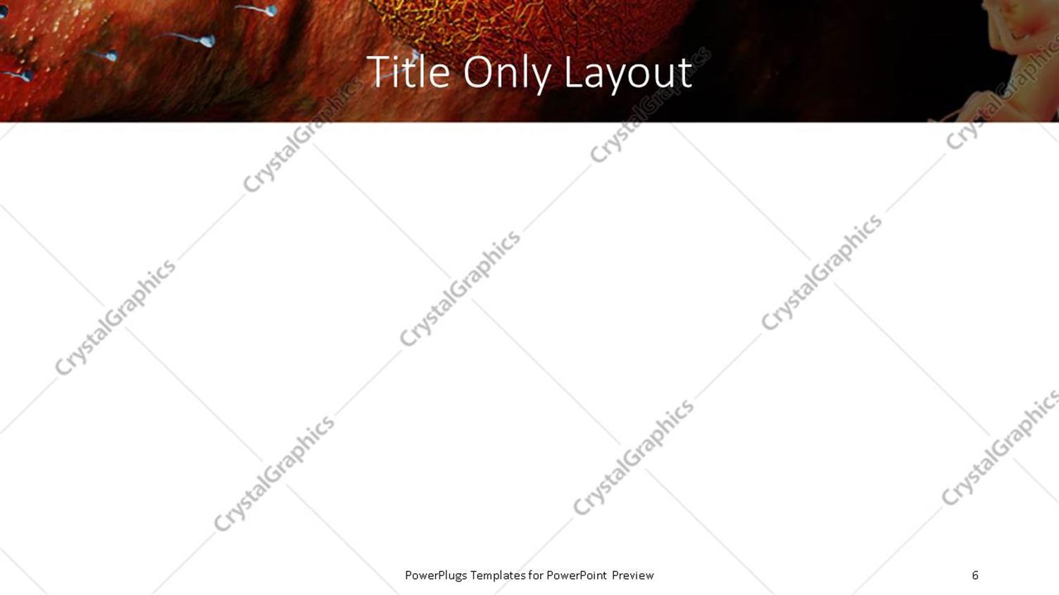 PowerPoint Template Sperm Traveling To Fertilize The Waiting Egg With 