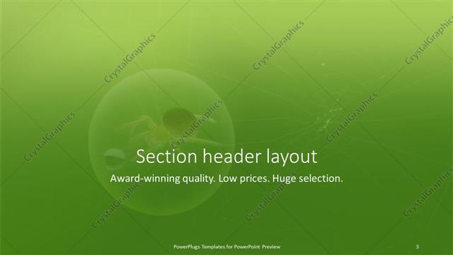 Section Header presentation slide layout