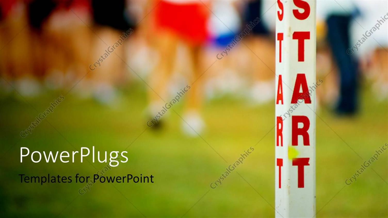 Premium Template for PowerPoint & Google Slides 