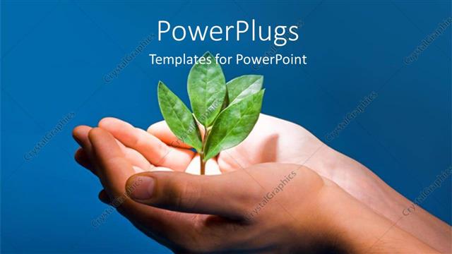  Presentation with growth human - Spotlight on plant sprouting from human hand on blue background