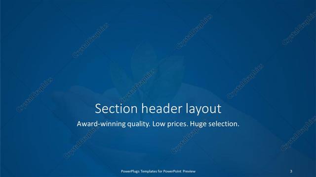 Section Header presentation slide layout