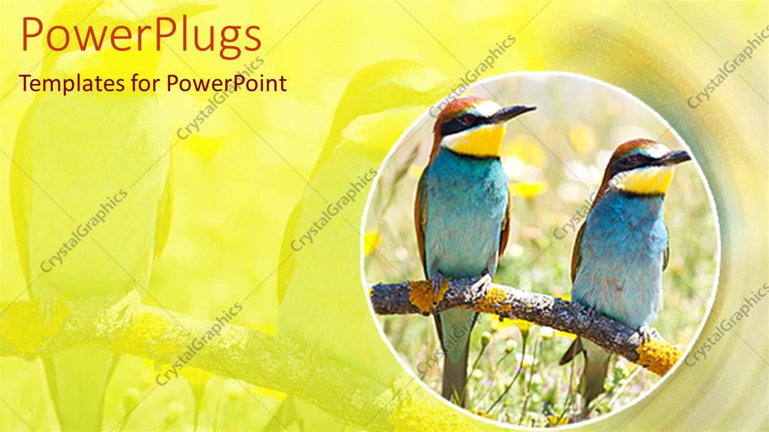 Premium Template for PowerPoint & Google Slides 