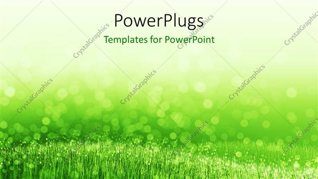  Presentation with spring water - Spring background with green summer grass and water droplets