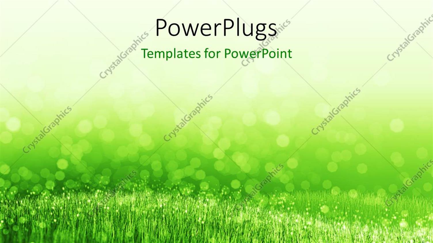 Featuring Spring Background with Green Summer Grass and Water Droplets