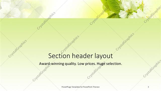 Section Header presentation slide layout