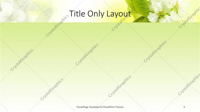 Title Only presentation slide layout