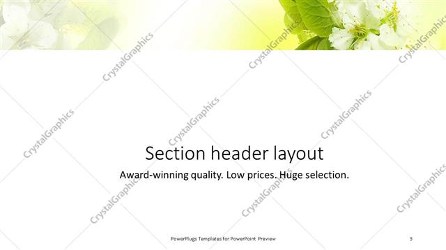 Section Header presentation slide layout
