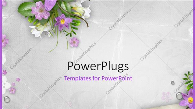  Presentation with flowers - Spring flowers on textured background