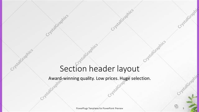 Section Header presentation slide layout
