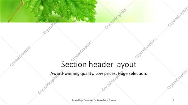 Section Header presentation slide layout