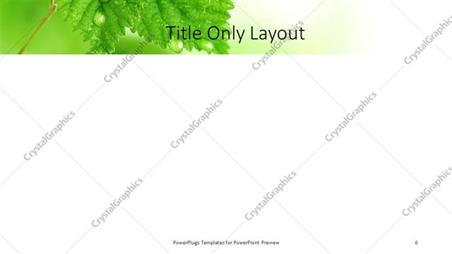 Title Only presentation slide layout