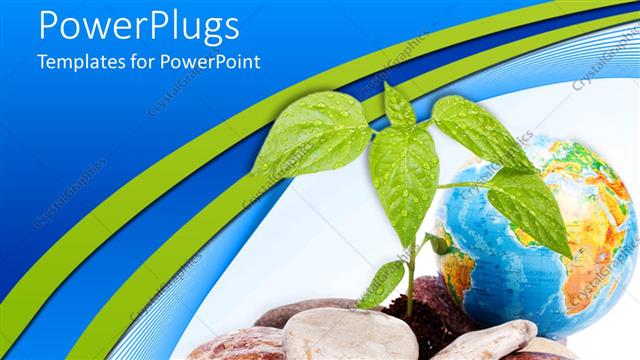  Presentation with sprouting plant - Sprouting plant with rocks next to blue earth globe