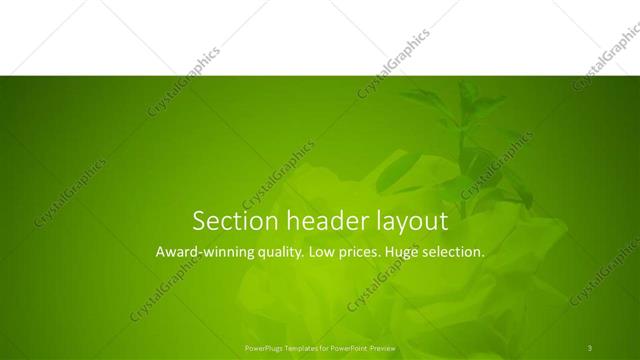 Section Header presentation slide layout