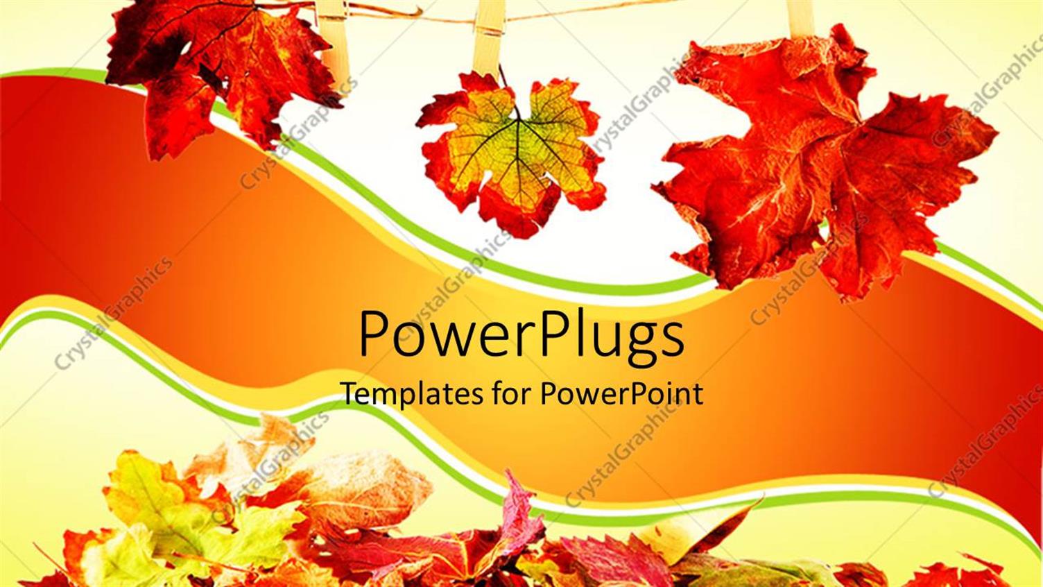 Premium Template for PowerPoint & Google Slides 