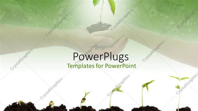  Presentation with green life - Stages of growth of plant on shades of green