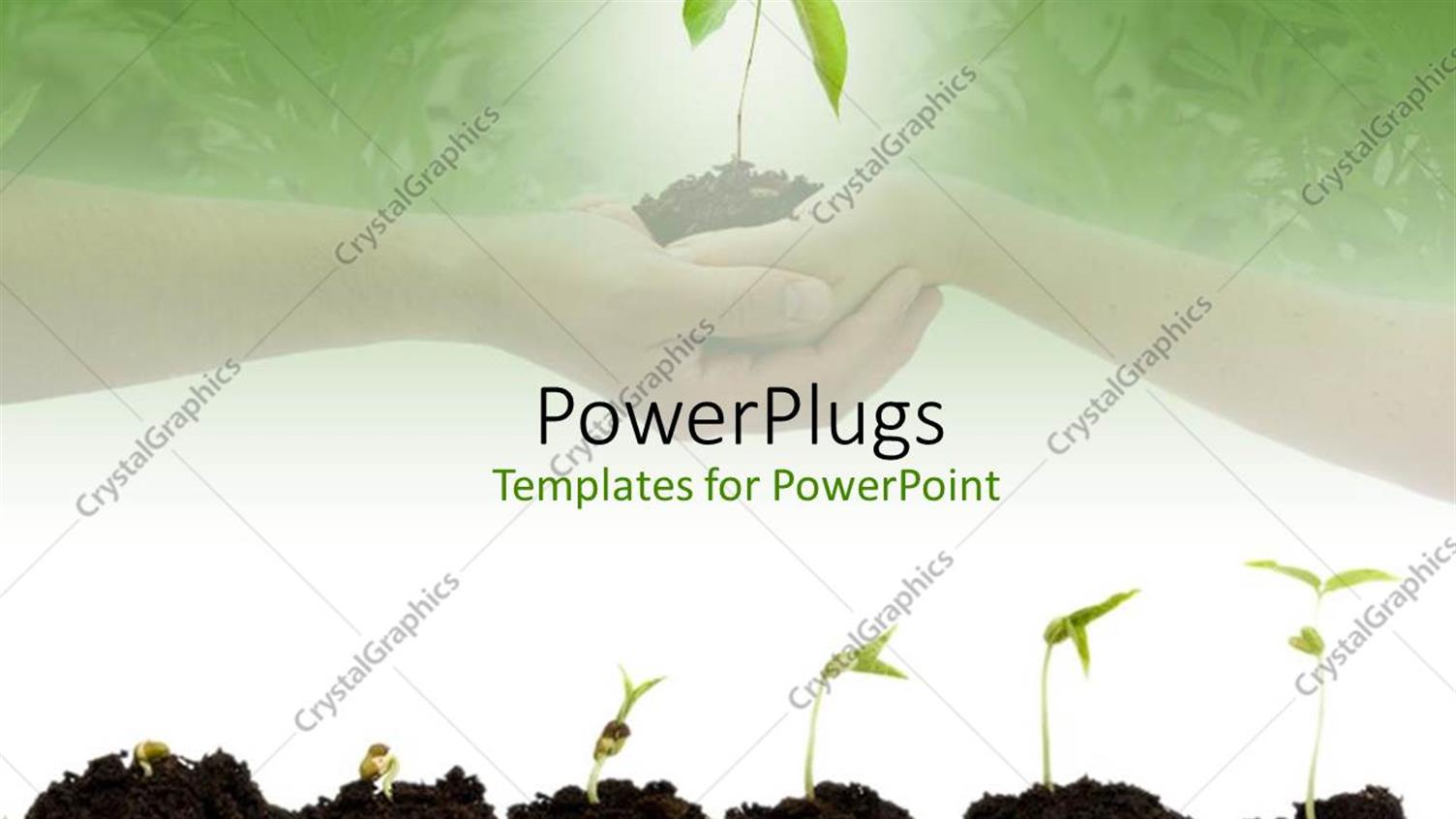 Premium Template for PowerPoint & Google Slides 