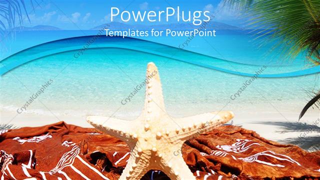  Presentation with fish beach - Standing white colored star fish on a tropical beach