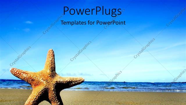  Presentation with starfish - Starfish on sandy beach and blue sea with?blue sky