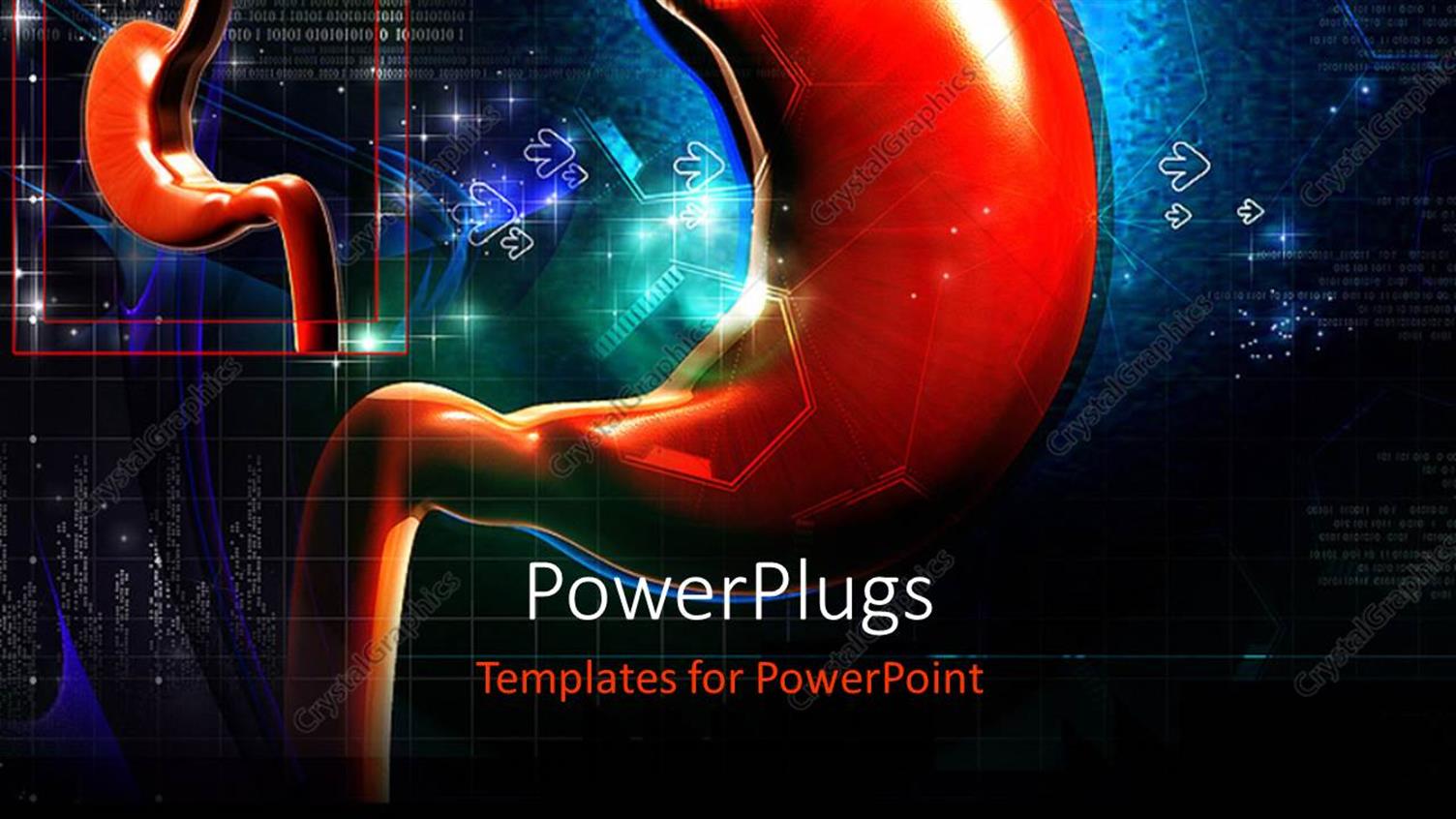 Featuring the Stomach with its small Form in the Background