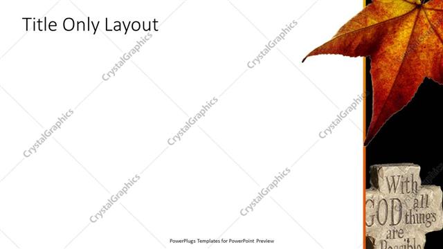 Title Only presentation slide layout