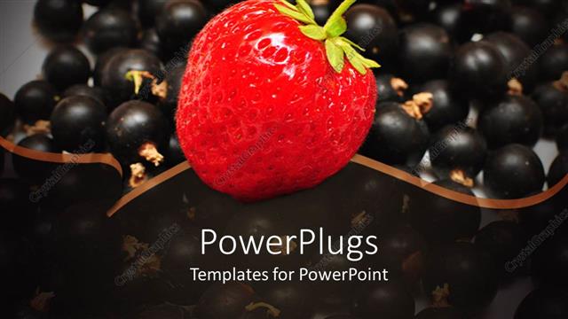  Presentation with strawberry - Strawberry placed in center of black currants