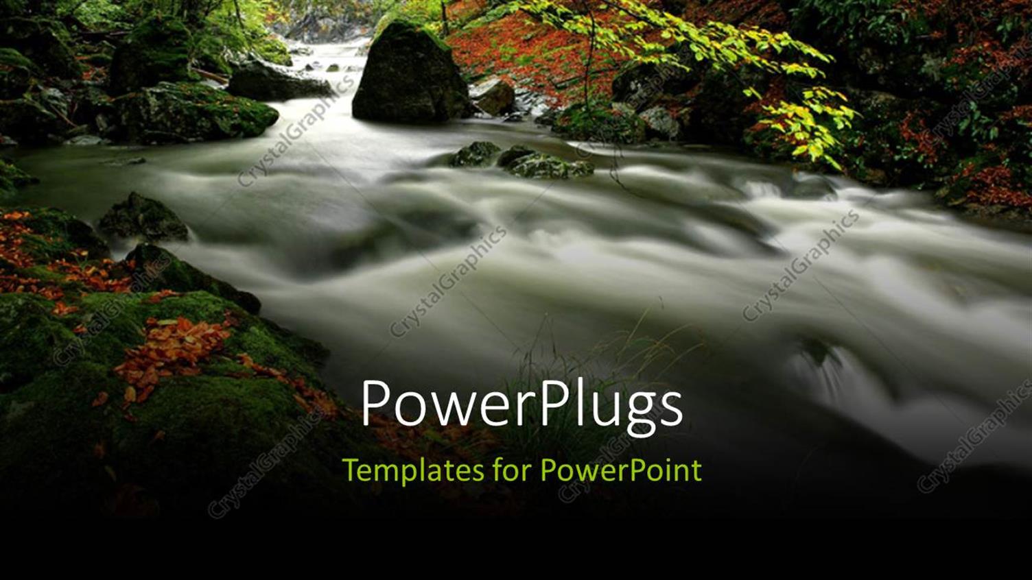 Premium Template for PowerPoint & Google Slides 