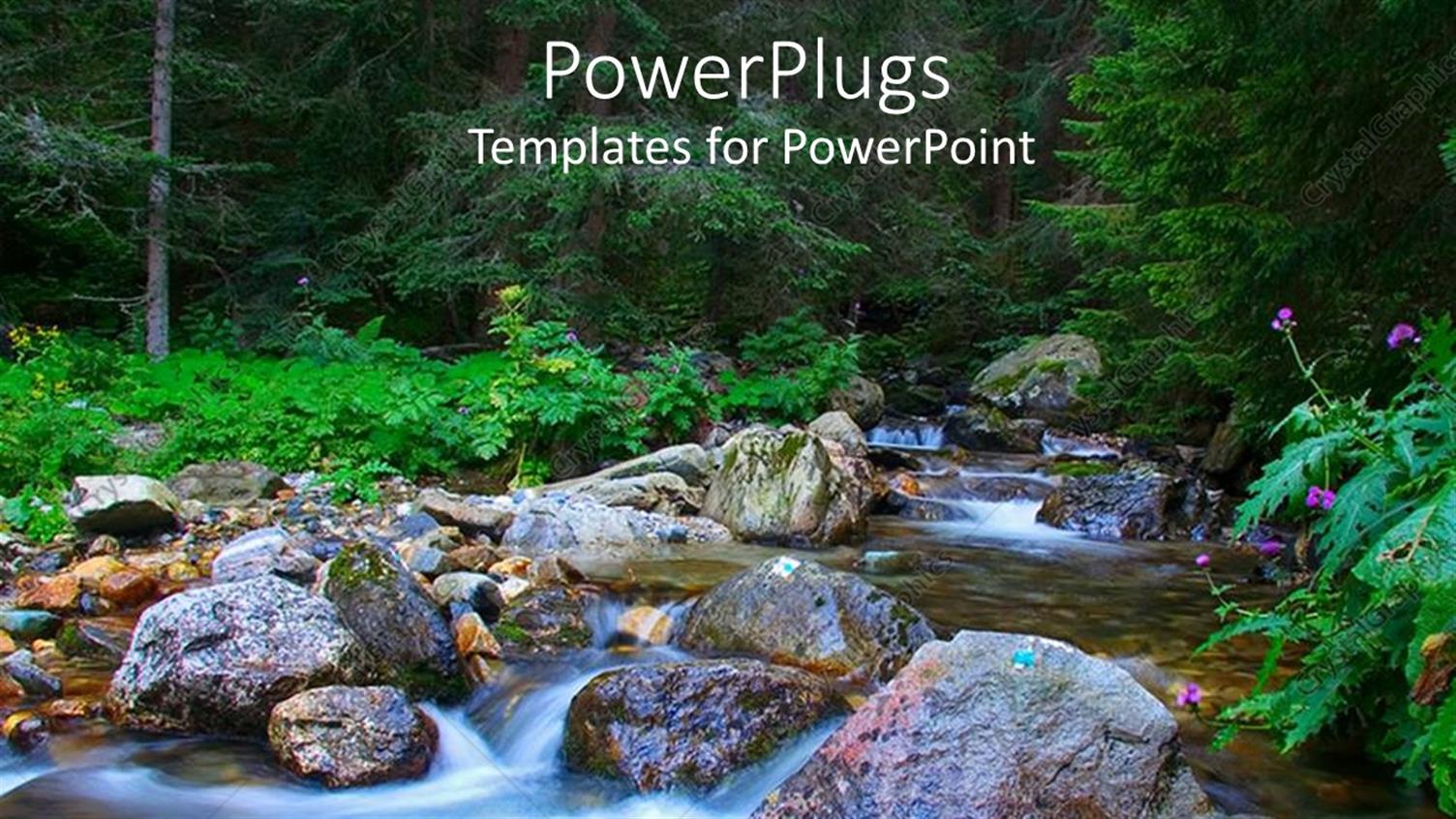 Premium Template for PowerPoint & Google Slides 