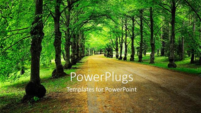  Presentation with park - A street view of a forest with many trees?