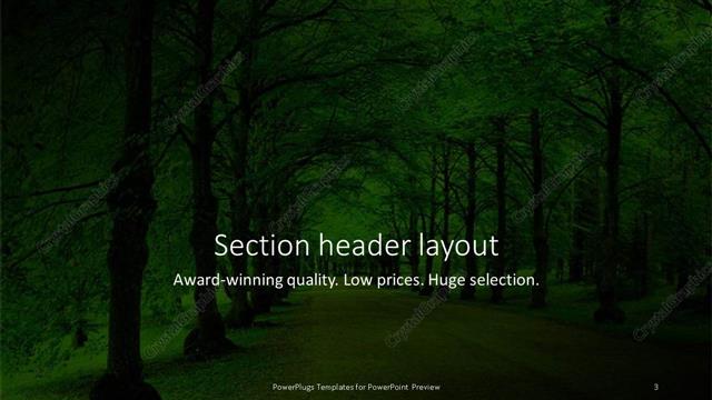 Section Header presentation slide layout