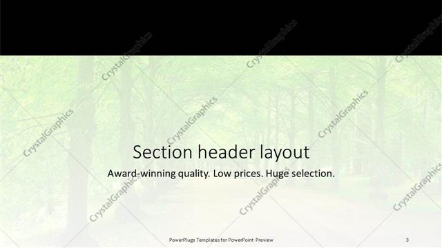 Section Header presentation slide layout