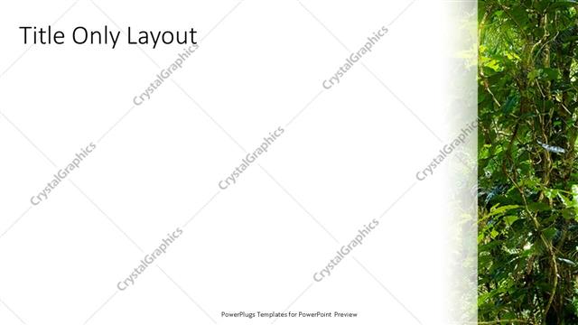 Title Only presentation slide layout