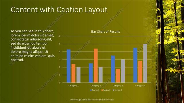 Content with Caption presentation slide layout