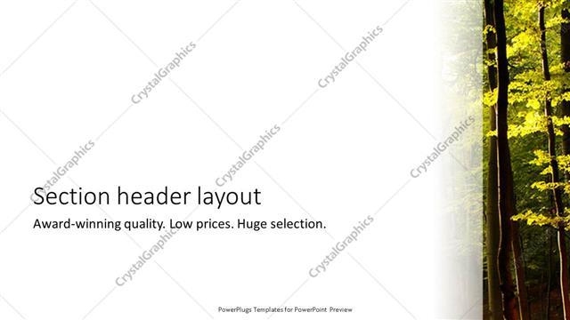 Section Header presentation slide layout