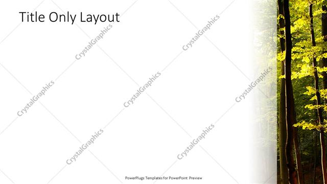 Title Only presentation slide layout