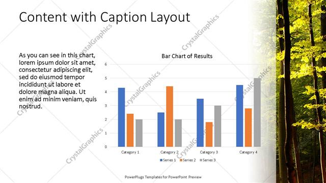 Content with Caption presentation slide layout