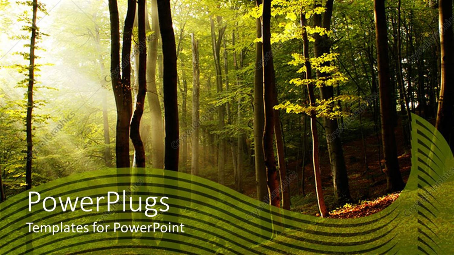 Premium Template for PowerPoint & Google Slides 