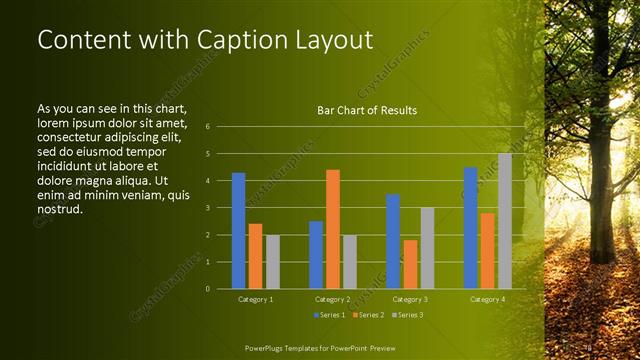 Content with Caption presentation slide layout