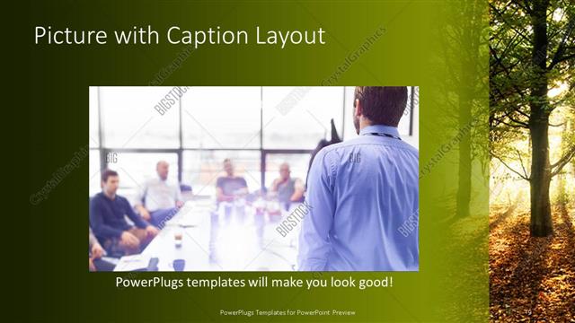 Picture with Caption presentation slide layout
