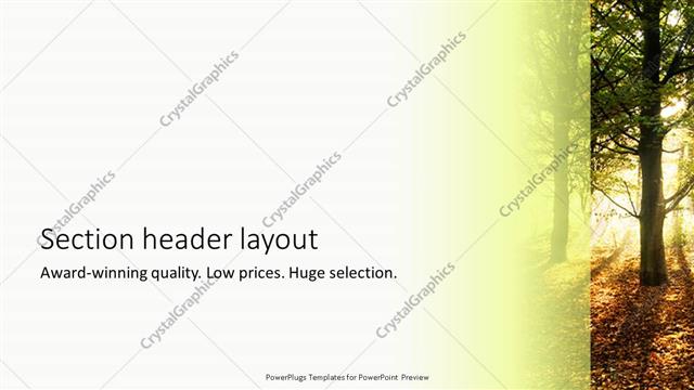 Section Header presentation slide layout