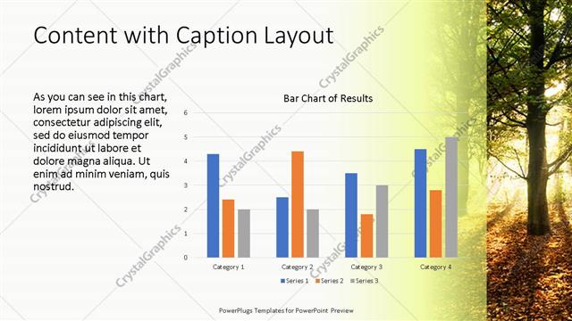 Content with Caption presentation slide layout