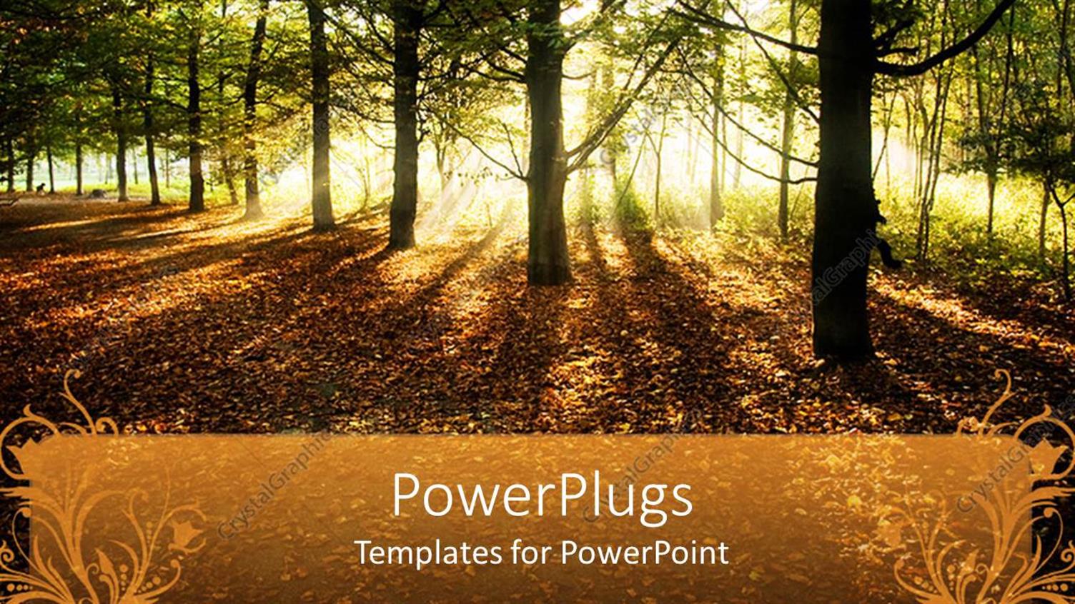 Premium Template for PowerPoint & Google Slides 