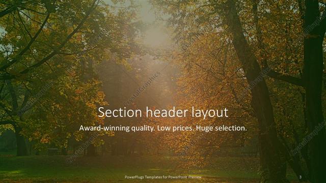 Section Header presentation slide layout