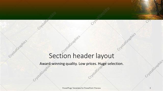 Section Header presentation slide layout
