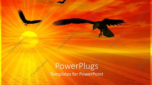  Presentation with calm - Sun set view of birds flying around a calm river